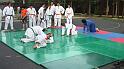 imga0487