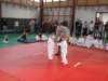p9120453_small.jpg