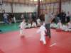 p9120461_small.jpg