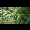 imga0112.jpg
