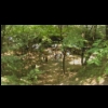 imga0173.jpg