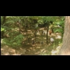 imga0185.jpg