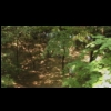 imga0188.jpg