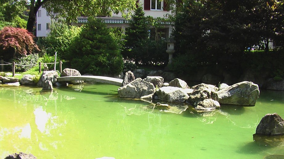 interlaken_0276.jpg