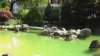 interlaken_0276_small.jpg