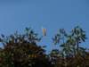 interlaken_0302_small.jpg