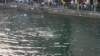 luzern_0531_small.jpg