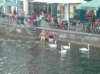 luzern_0551_small.jpg