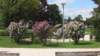 mondsee_0997_small.jpg