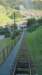 niesen_0391_small.jpg