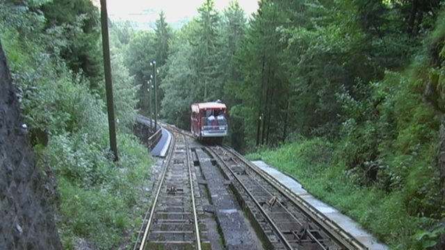 niesen_0393.jpg