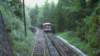niesen_0393_small.jpg