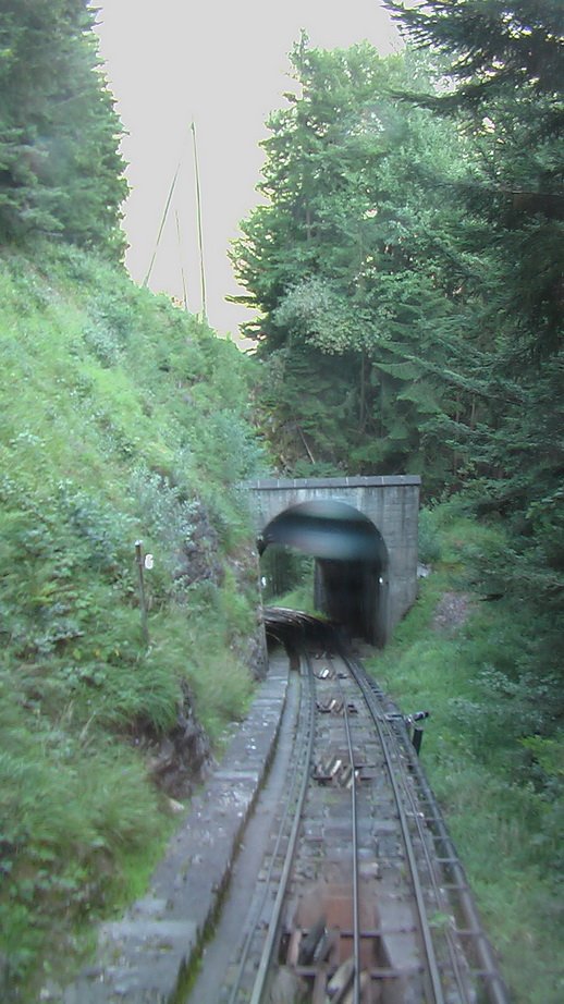 niesen_0397.jpg