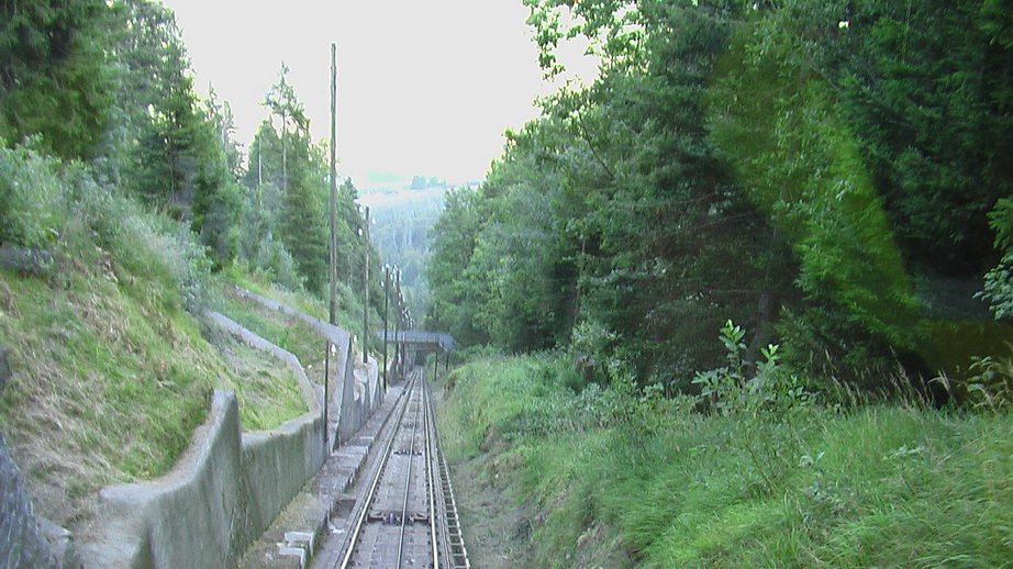 niesen_0399.jpg