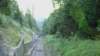 niesen_0399_small.jpg