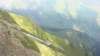 niesen_0408_small.jpg