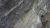 niesen_0435_small.jpg