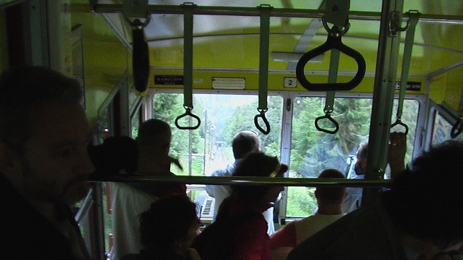 niesen_0447.jpg