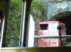 niesen_0466_small.jpg