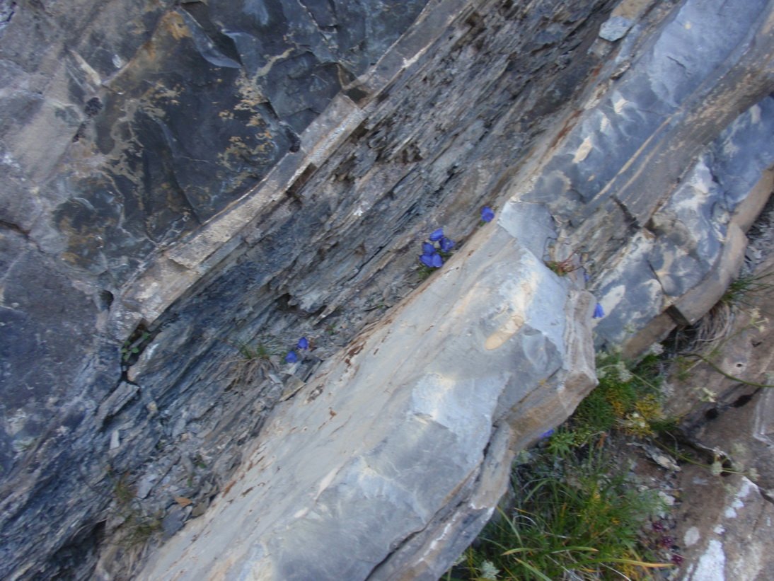 niesen_0495.jpg