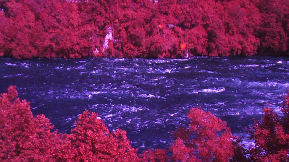 steinamrhein_0206.jpg