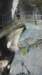 trummel_0310_small.jpg