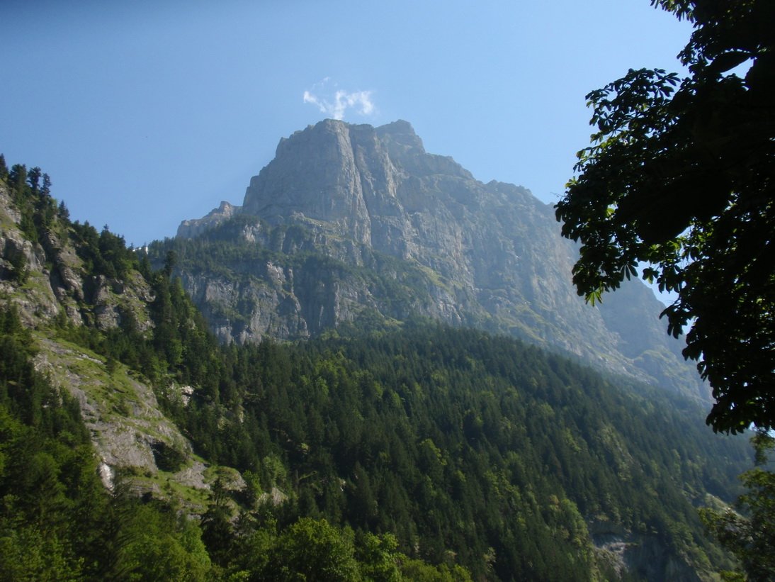 trummel_0405.jpg