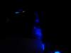 uton_0028_small.jpg