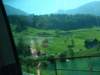 uton_0059_small.jpg