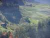 uton_0060_small.jpg