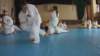 imga0889_small.jpg