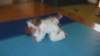 imga0909_small.jpg