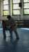 imga0912_small.jpg