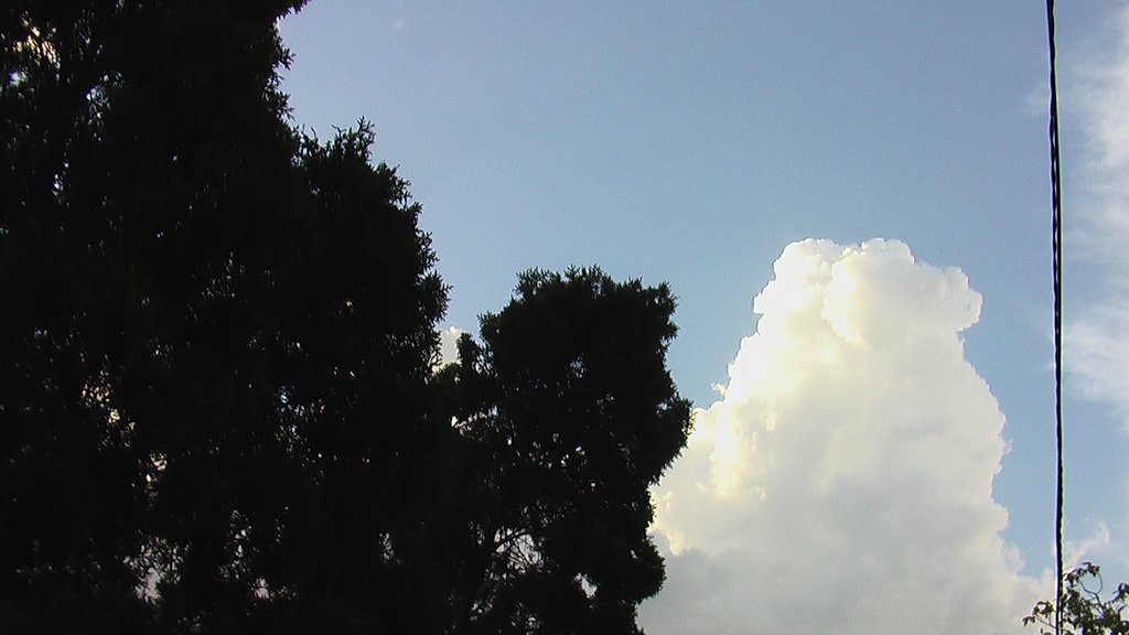 imga0918.jpg