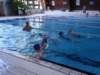 p1011383_small.jpg