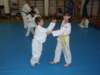 p6240349_small.jpg