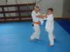 p6240361_small.jpg