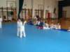 p6240385_small.jpg