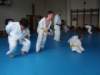 p6270407_small.jpg