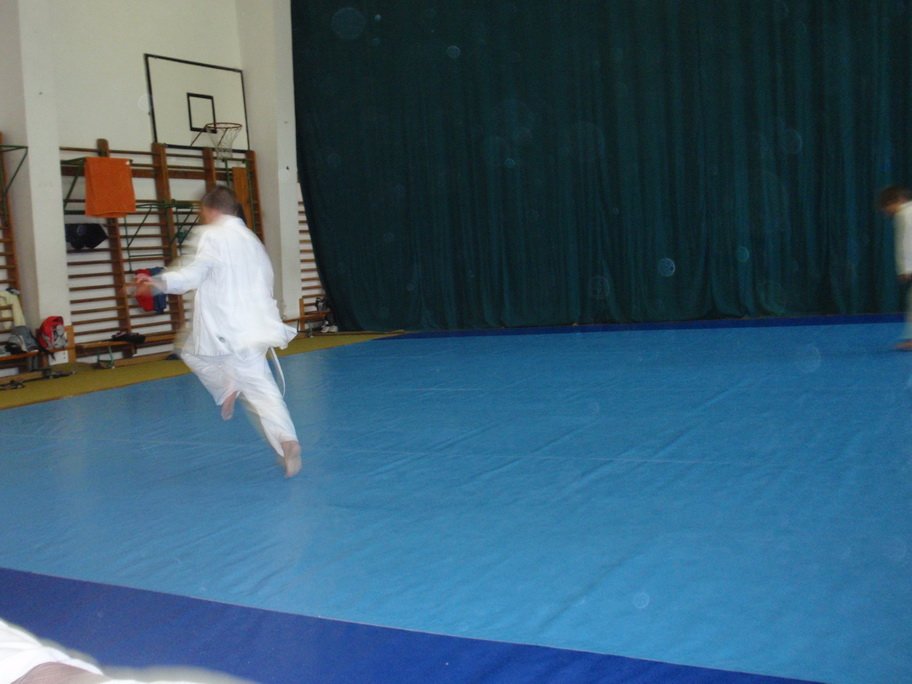 p6290447.jpg