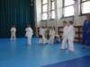 p6290448_small.jpg