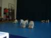 p6290456_small.jpg