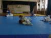 p6300467_small.jpg