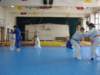 p6300503_small.jpg
