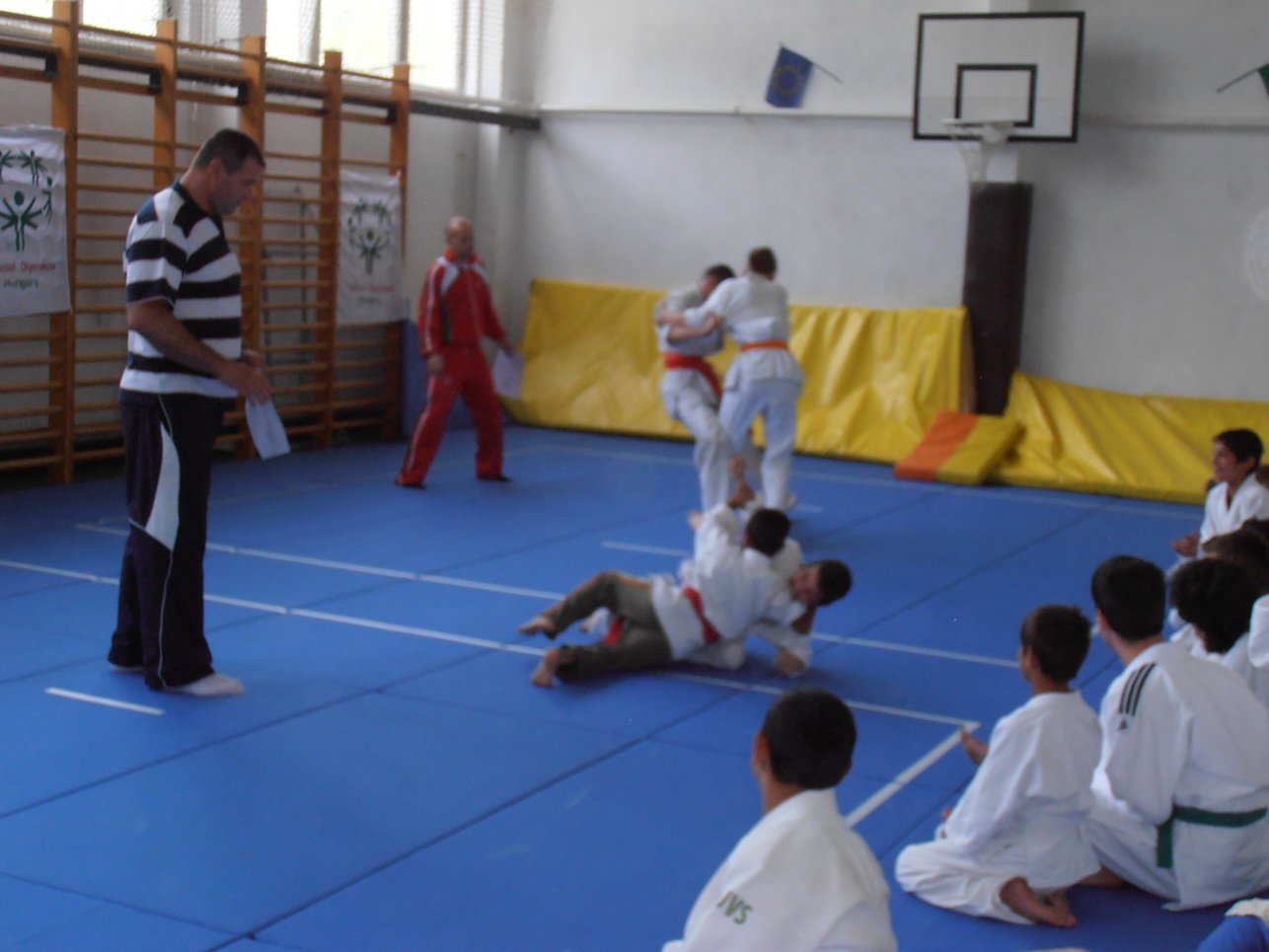 p5140141.jpg