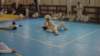 imga0225_small.jpg