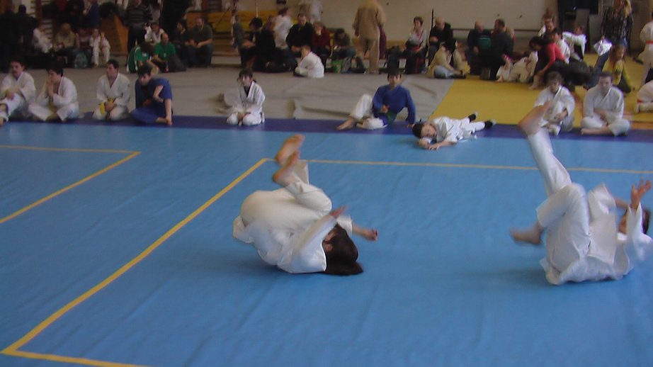 imga0233.jpg