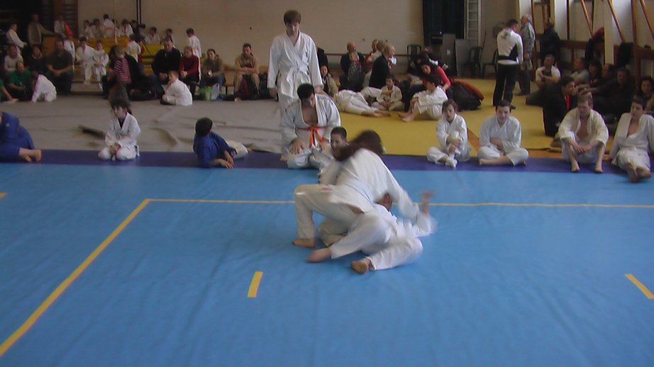 imga0241.jpg