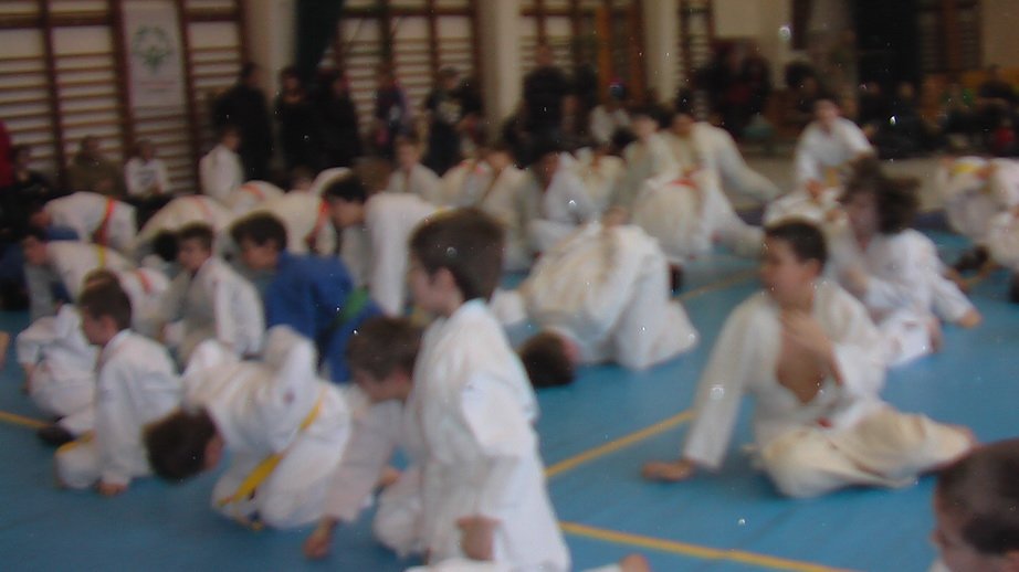 imga0274.jpg