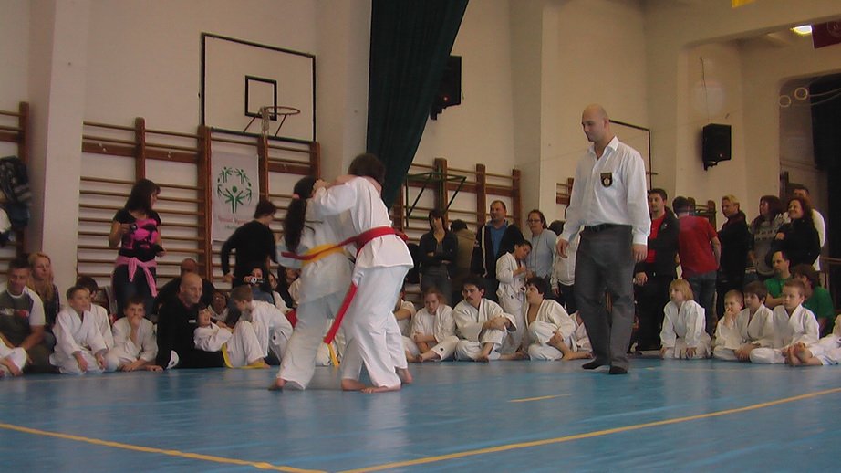 imga0355.jpg
